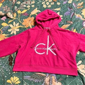 Calvin Klein Jeans Fuchsia Hoodie